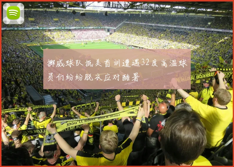 挪威球队抵美首训遭遇32度高温球员们纷纷脱衣应对酷暑